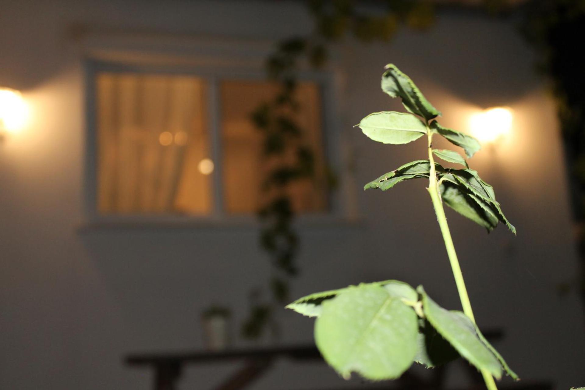 Ηώς Apartment Thassos Extérieur photo